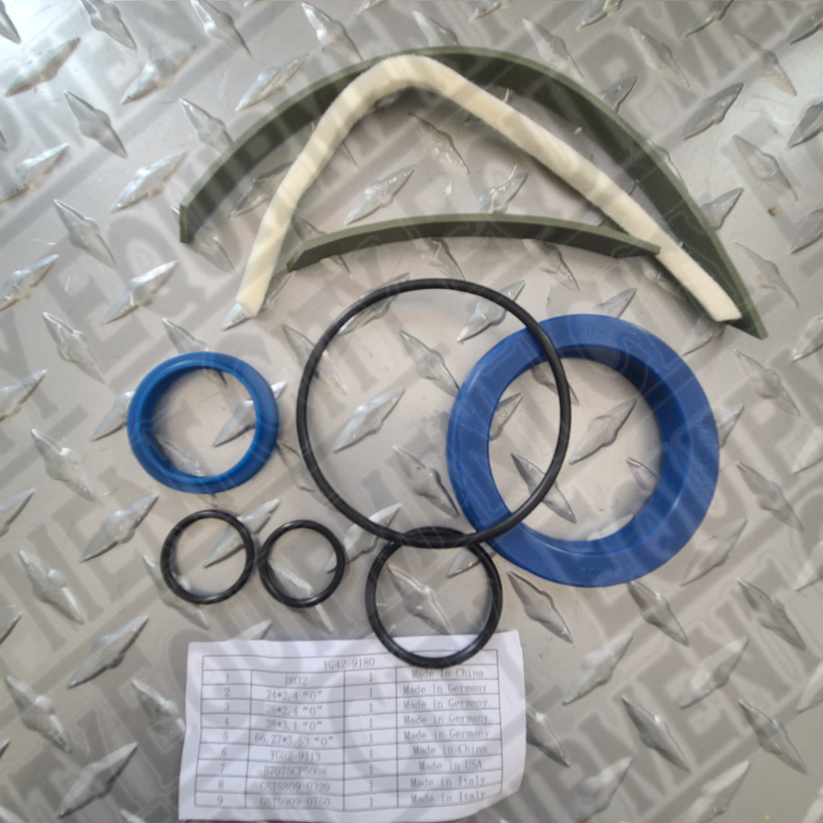 Rotary YG42-9180 SEAL KIT FORWRD 992305 LR CYL